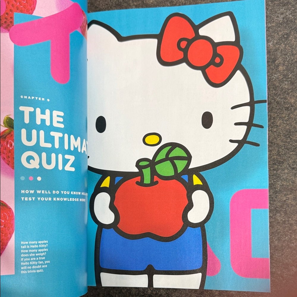 Hello Kitty Fan Guide - Picture 5 of 7